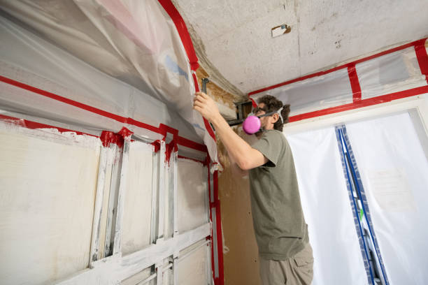 Best Post-Construction Mold Inspection  in Warrington, FL