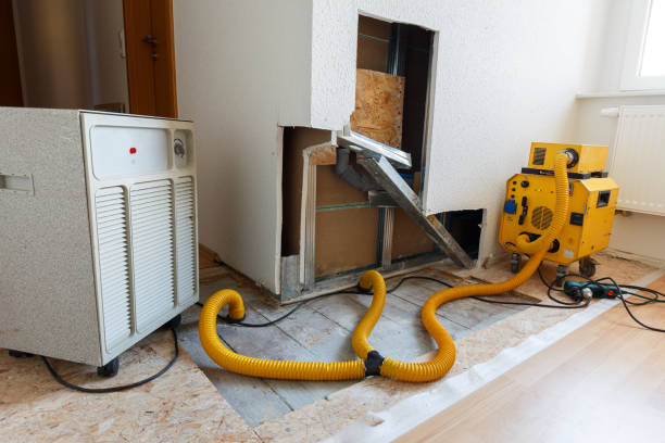 Best Post-Remediation Verification Testing  in Warrington, FL